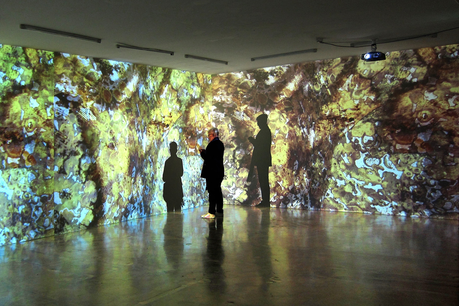 Camouflage, 2021, Videoinstallation, Sehsaal, Wien