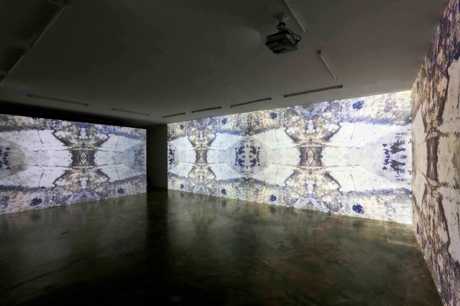 Camouflage, 2021, Videoinstallation, Sehsaal, Wien