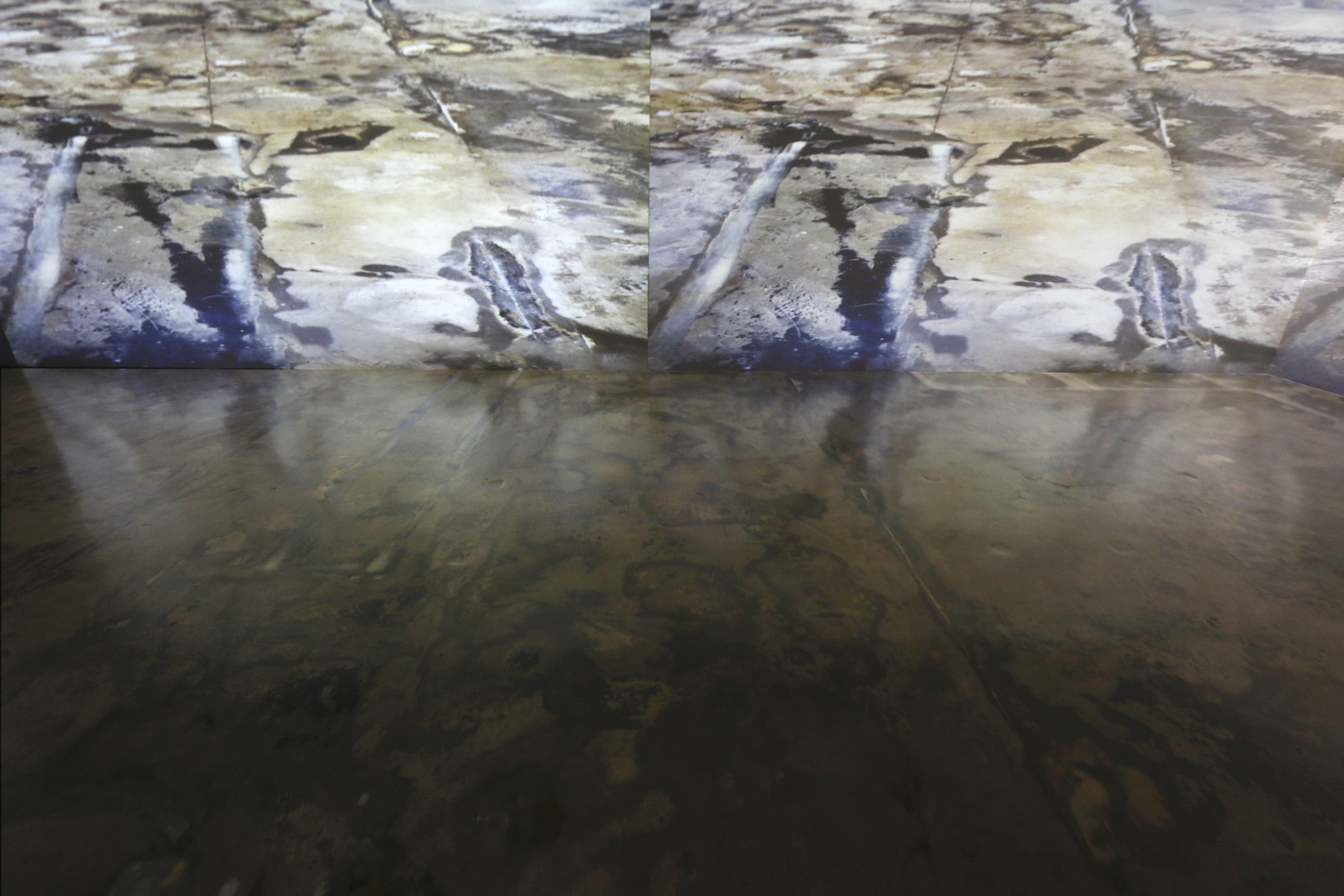 Camouflage, 2021, Videoinstallation, Sehsaal, Wien