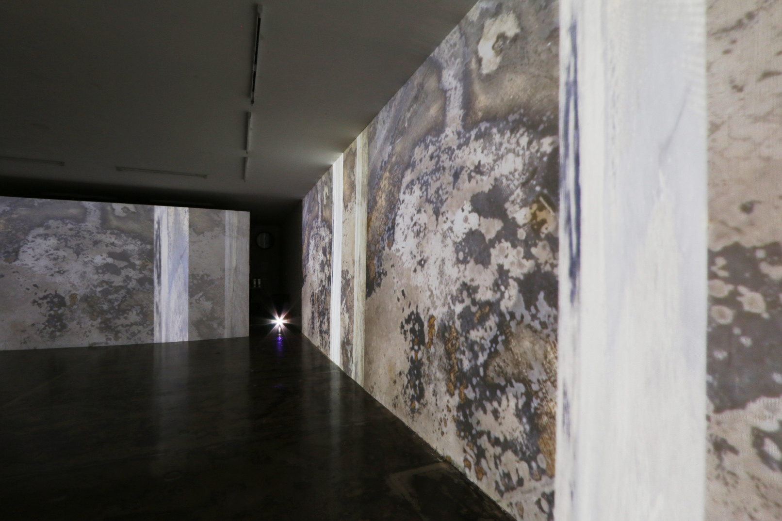 Camouflage, 2021, Videoinstallation, Sehsaal, Wien