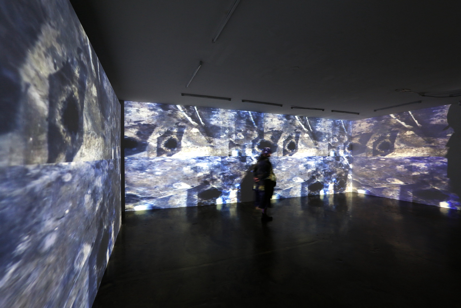 Camouflage, 2021, Videoinstallation, Sehsaal, Wien