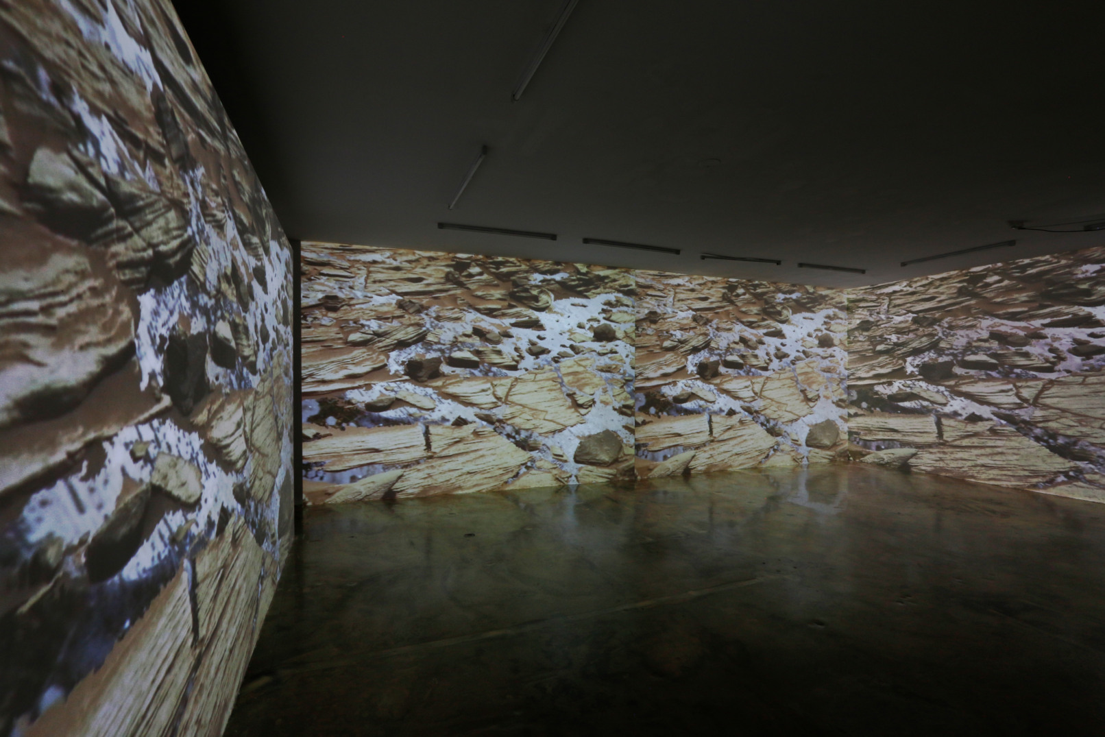 Camouflage, 2021, Videoinstallation, Sehsaal, Wien
