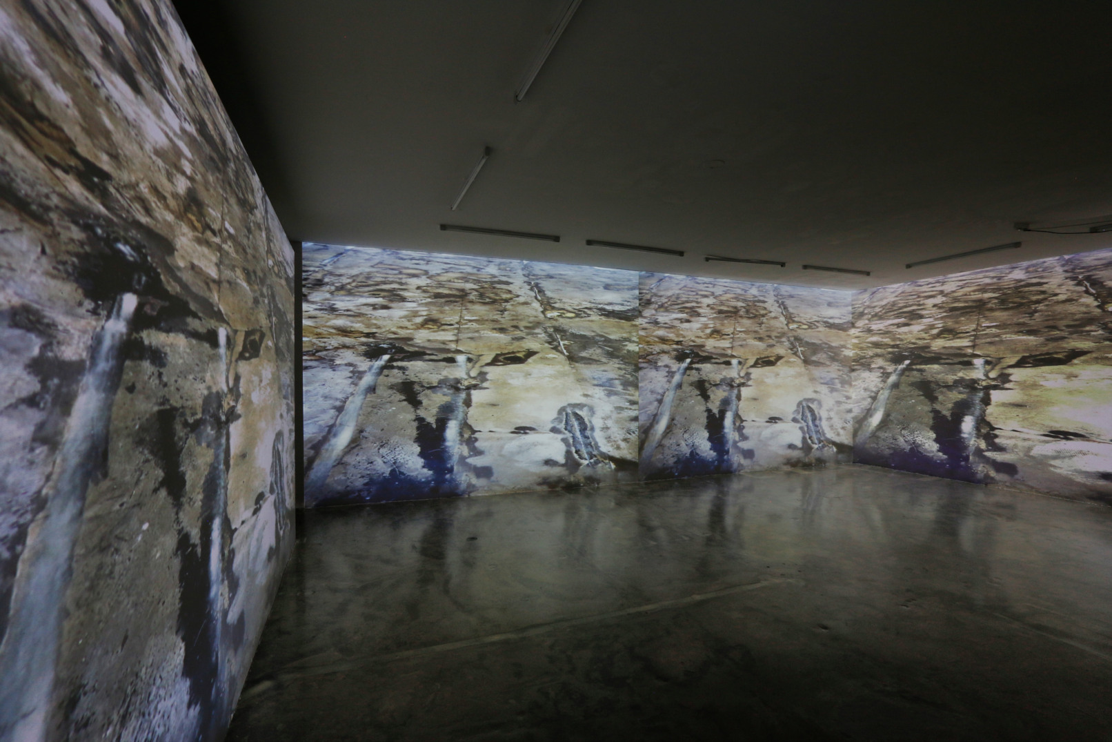 Camouflage, 2021, Videoinstallation, Sehsaal, Wien